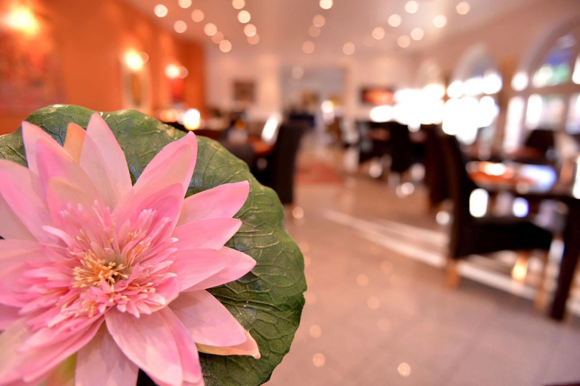 Alpha Hotel Garni Dietzenbach Ngoại thất bức ảnh
